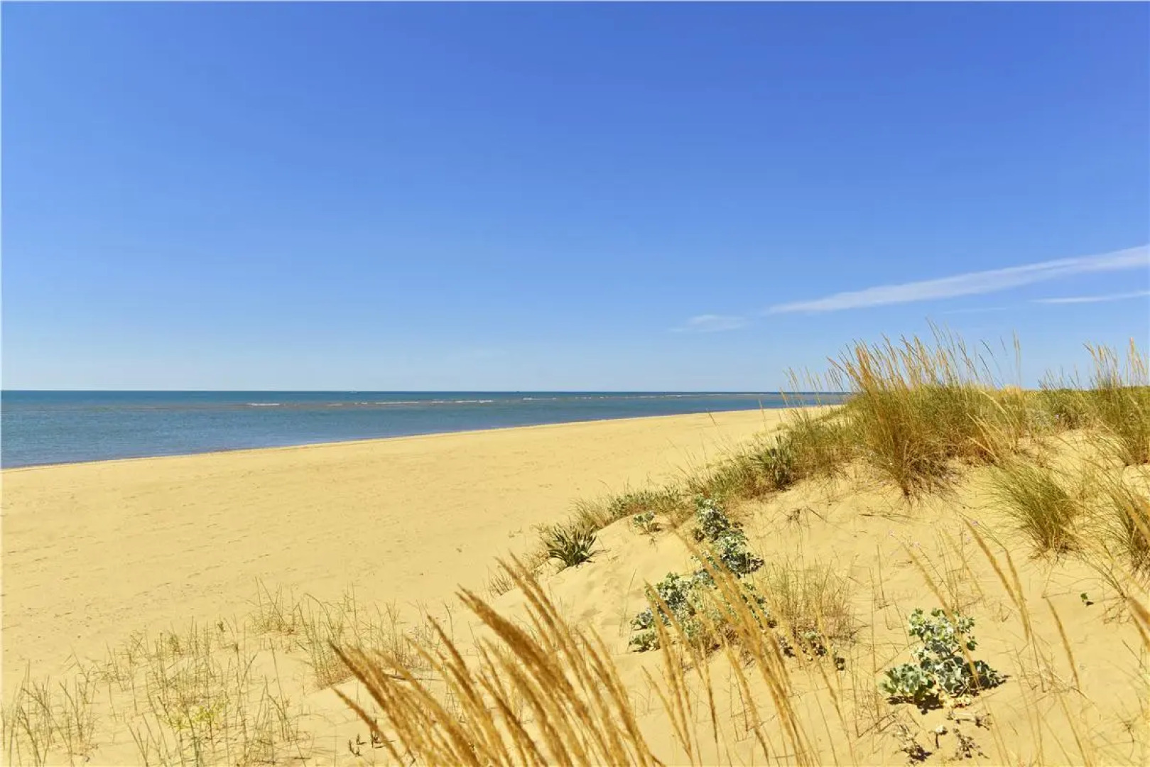 Отель Vila Gale Isla Canela