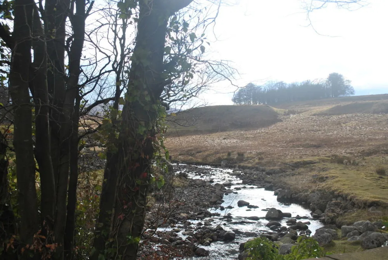 Best Western Shap Wells Hotel