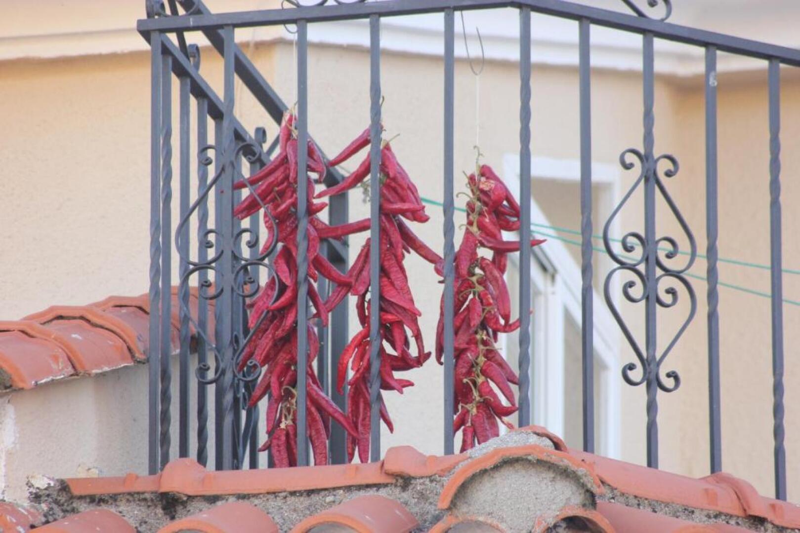 Acogedor apartamento VALLE DEL JERTE