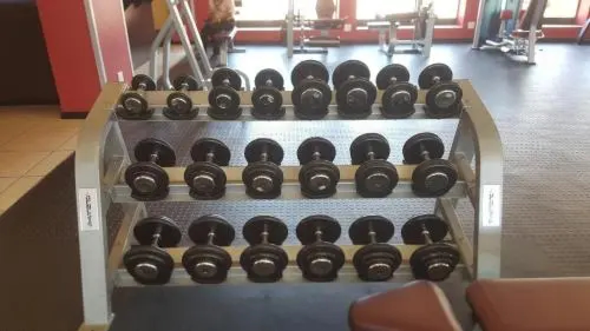 Strelitzia Apartment