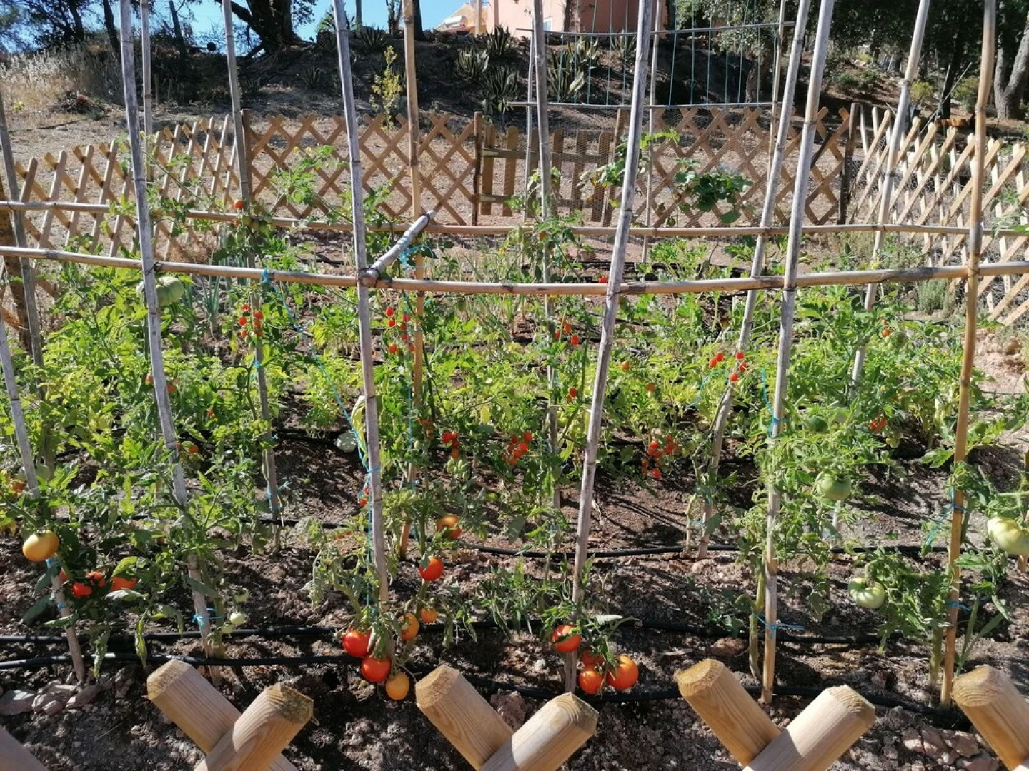 Rural Splendor 2-bed Cottage @talurdo Retreat