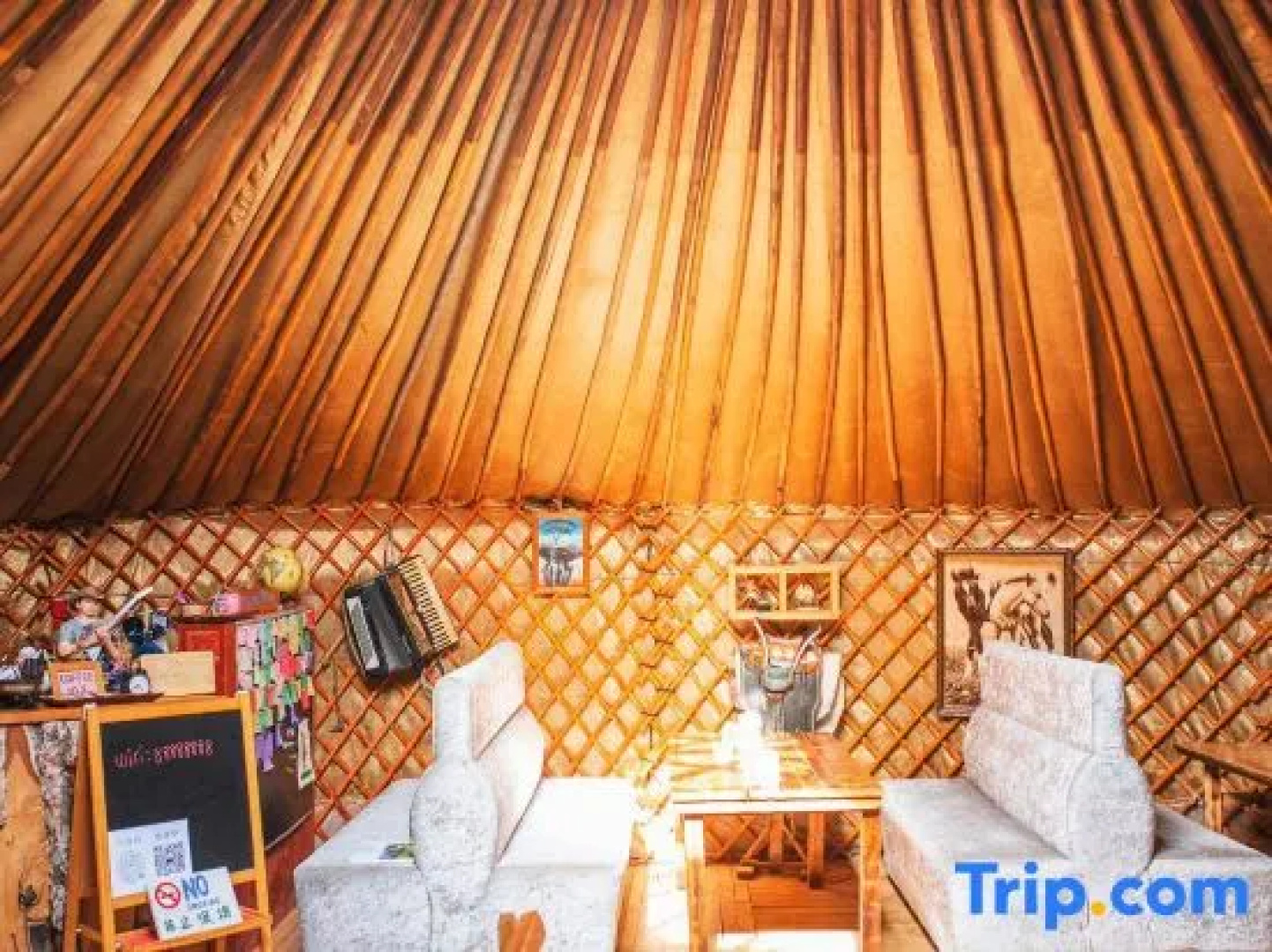 Xanadu yurts