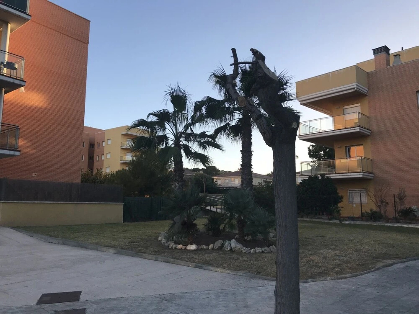 Tramuntana