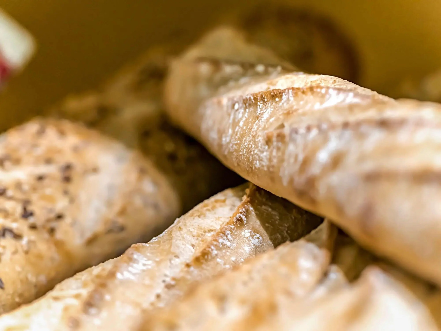 ibis budget Strasbourg Sud Illkirch Geispolsheim