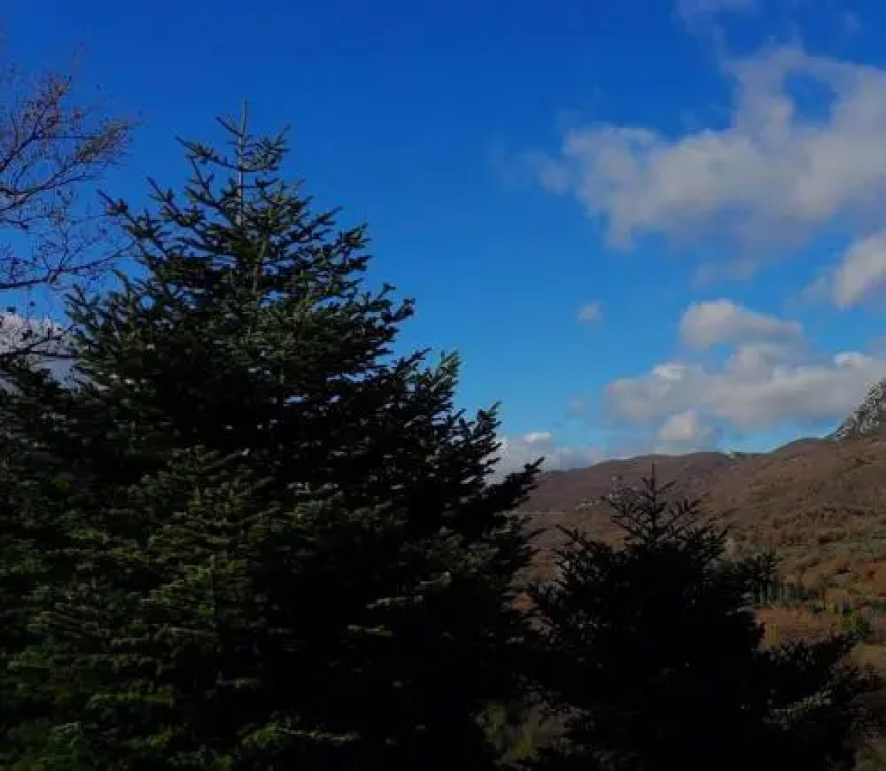 Ktima Muson Guesthouse