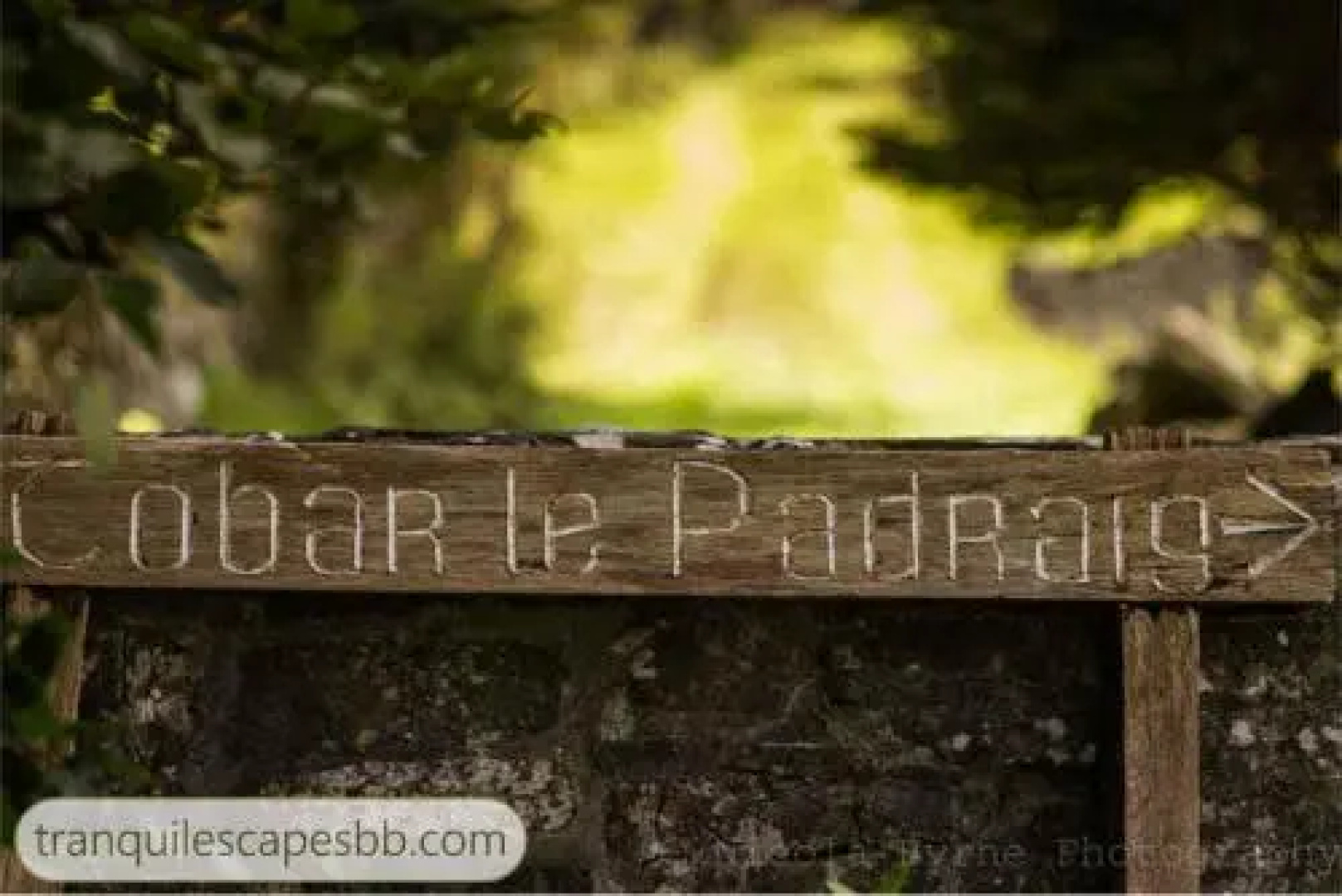 Tranquil Escapes B&B