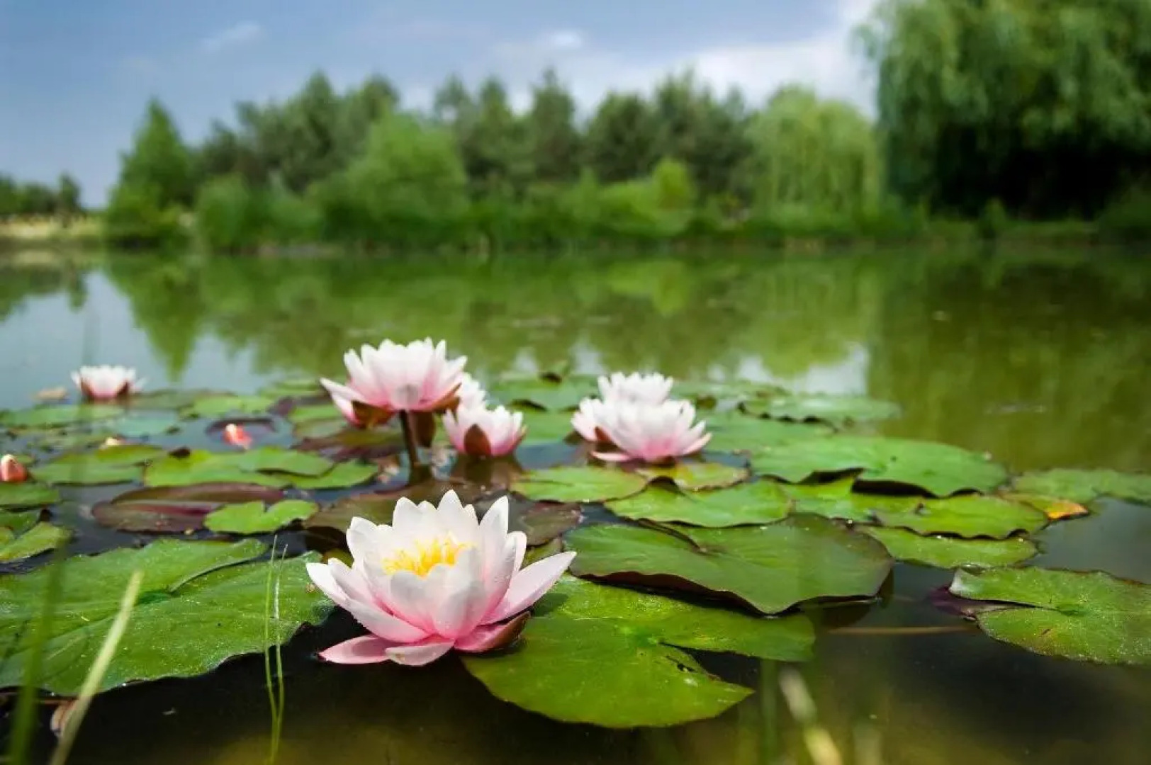 Bodrogi Kúria Wellness Hotel