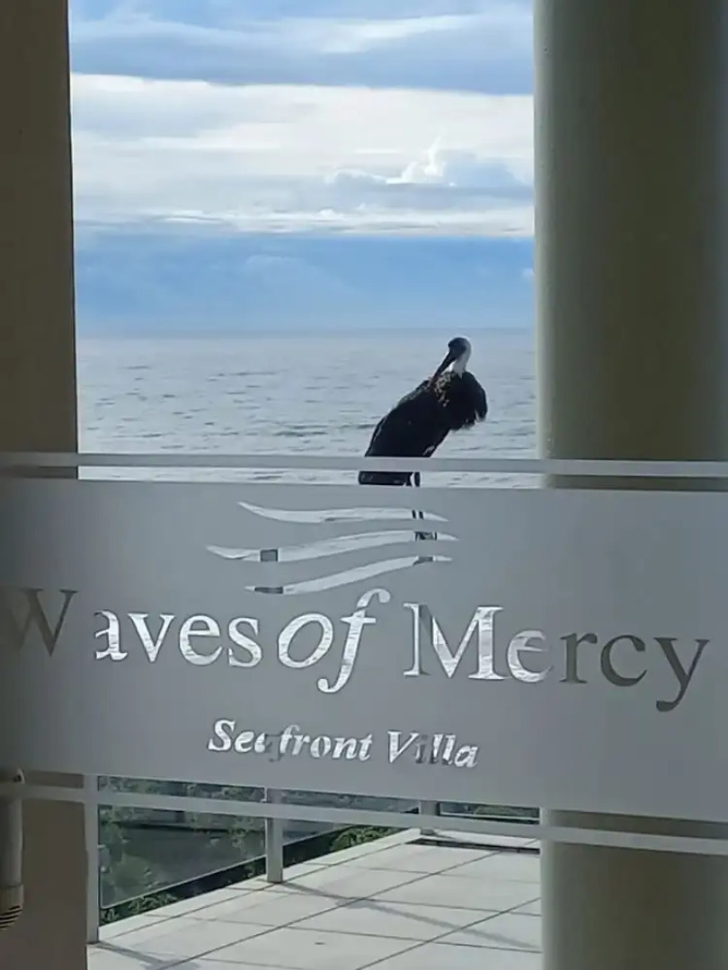 Waves of Mercy
