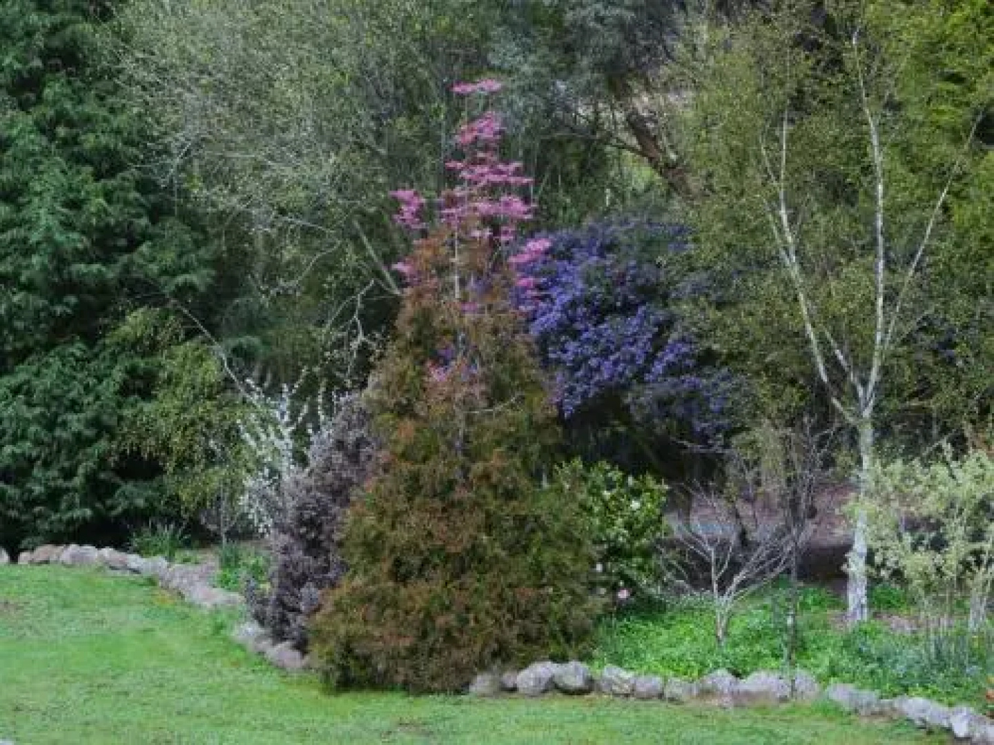 Wisteria Lodge Bed and Breakfast