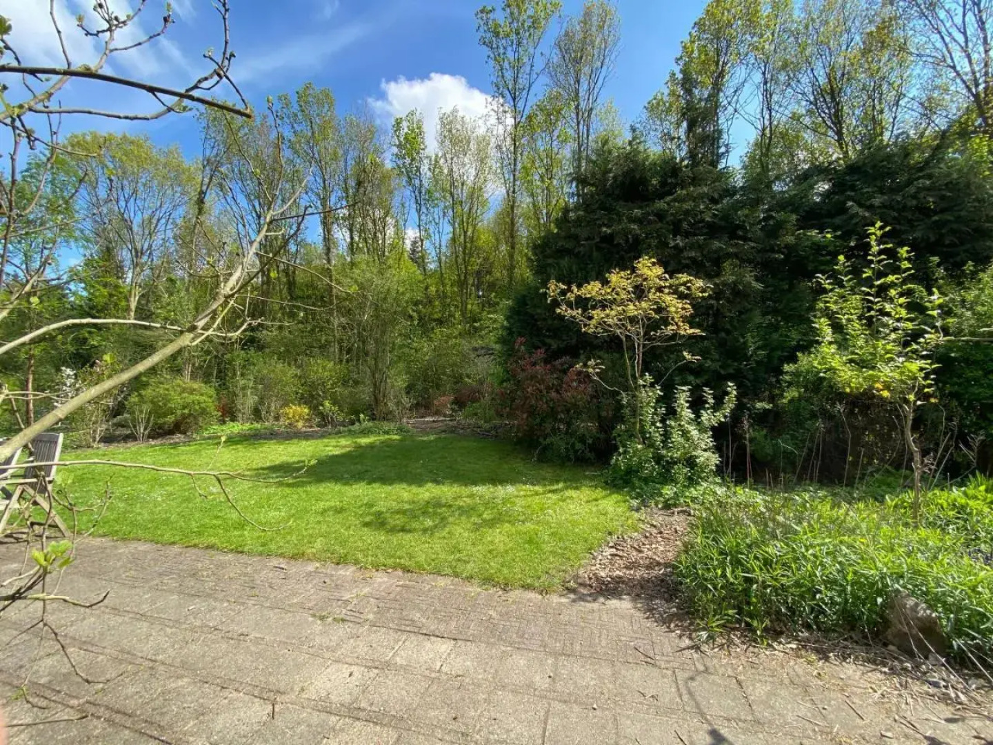 Ecolodge Bergzicht - 4p vakantiehuis aan het bos