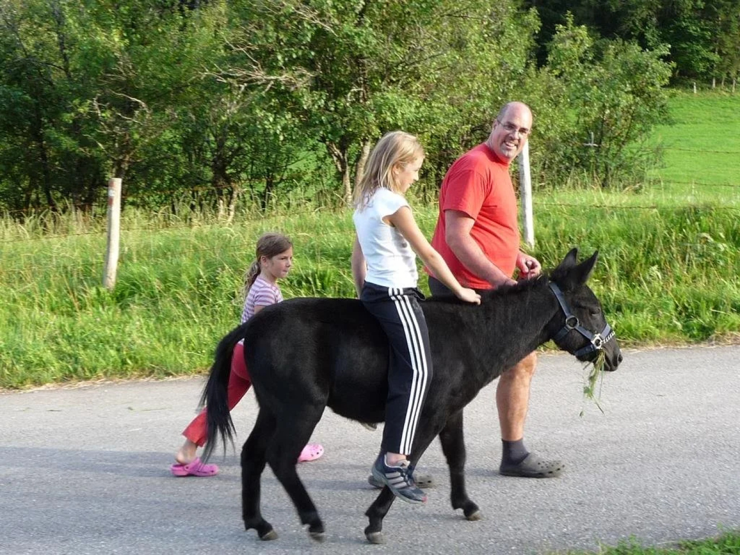 Ferienstadl - Hammerau
