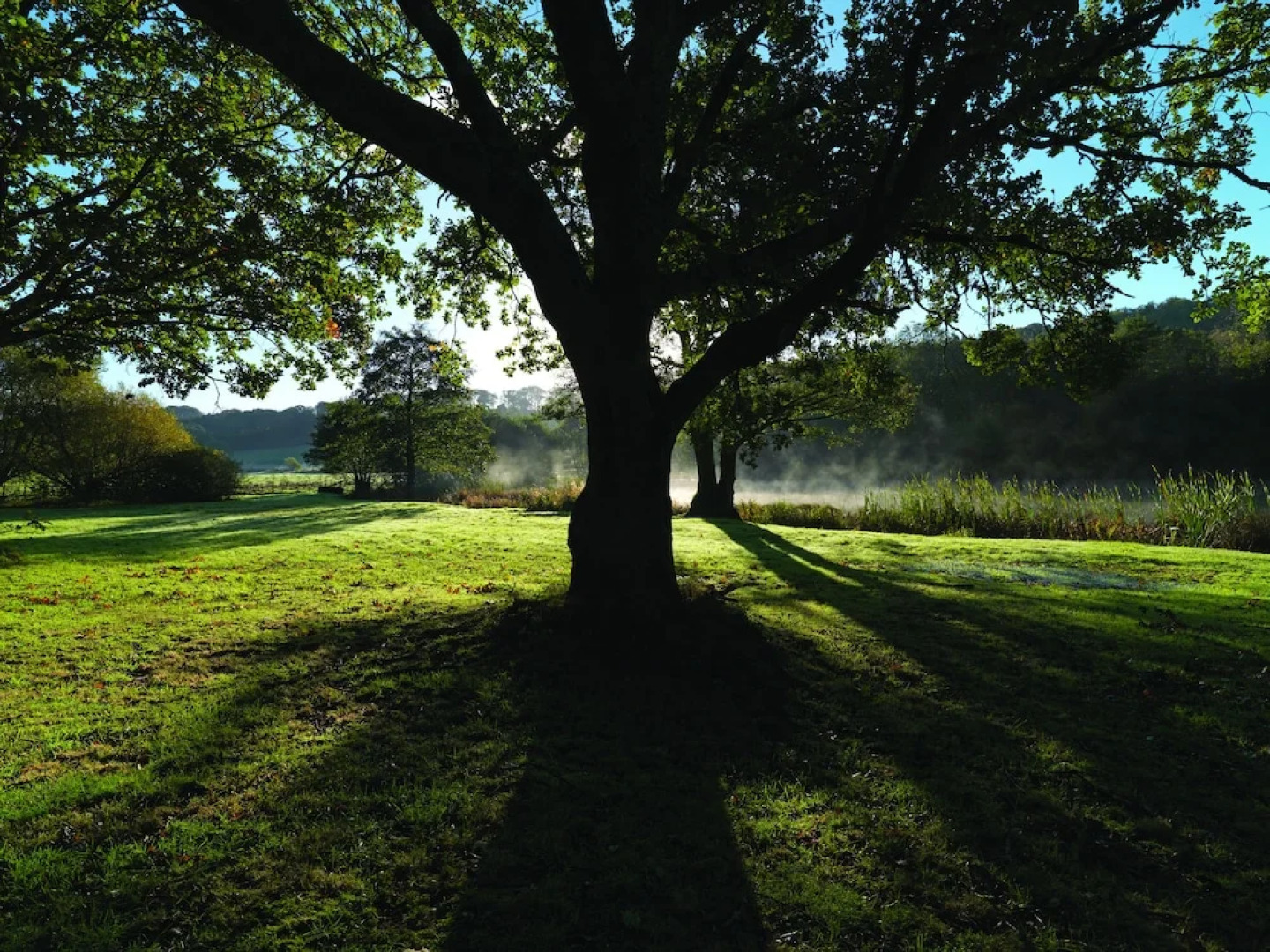 Nanteos Mansion Country House Hotel