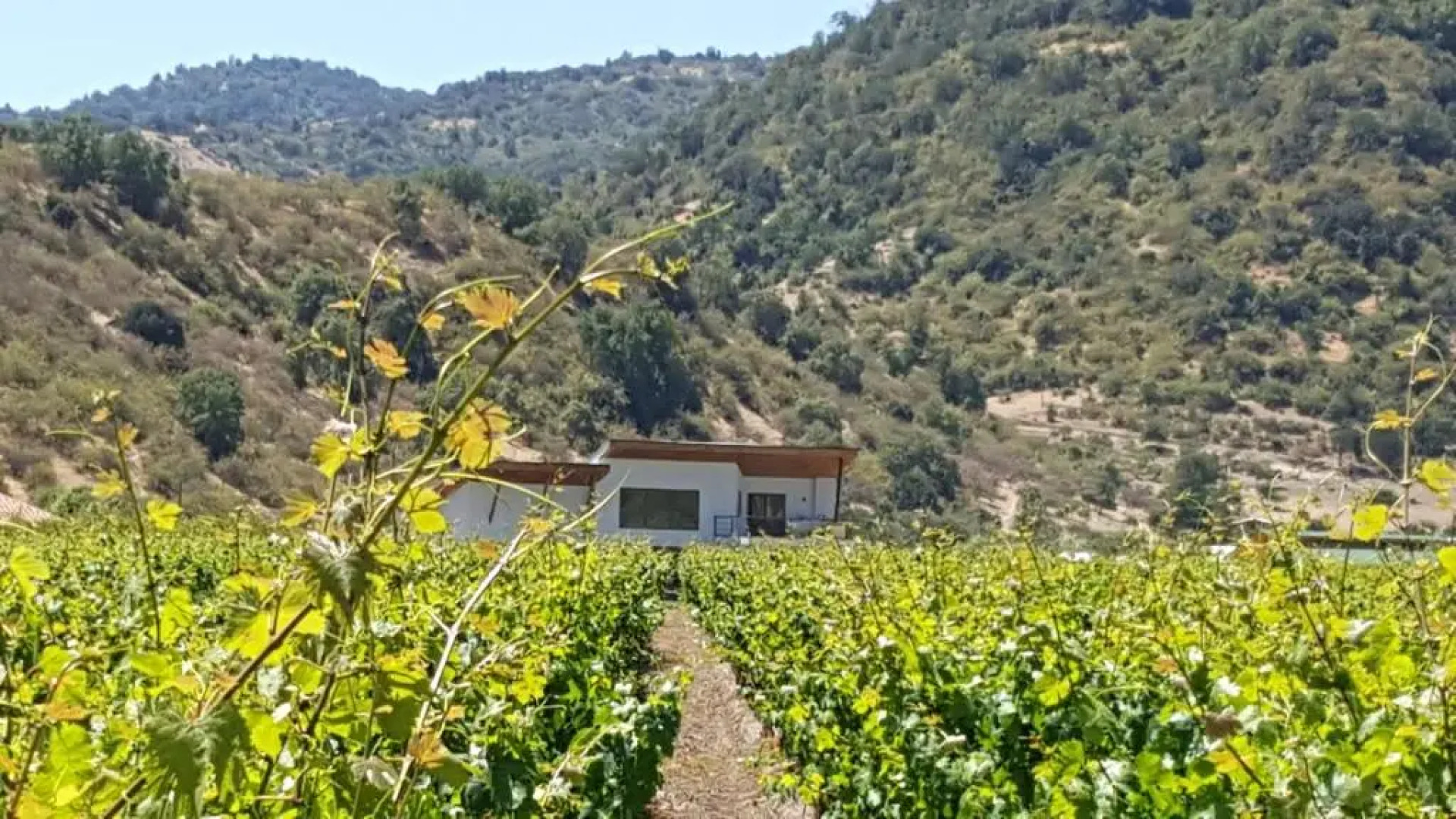 Callihue de Colchagua Lodge