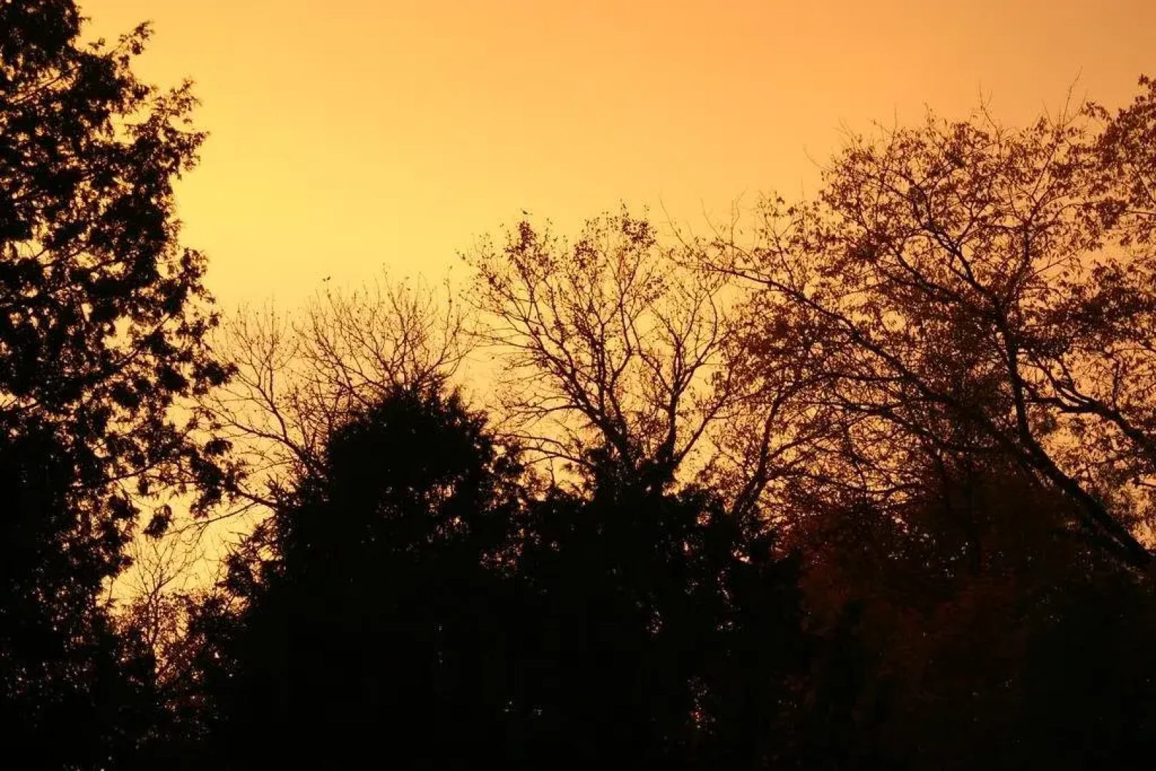 The Hive Centre and Stay