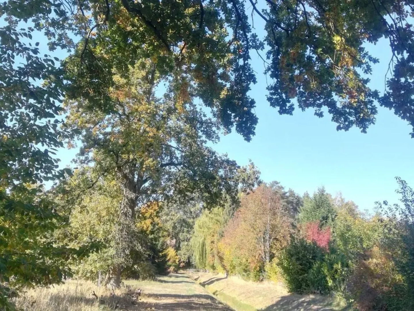 \"the Elf\" Comfortable Holiday Residence