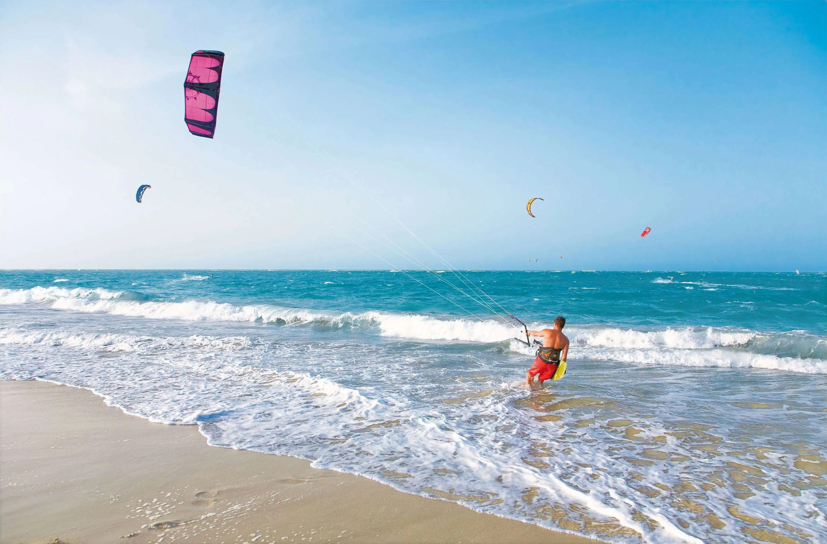 Viva Tangerine by Wyndham, A Trademark All Inclusive