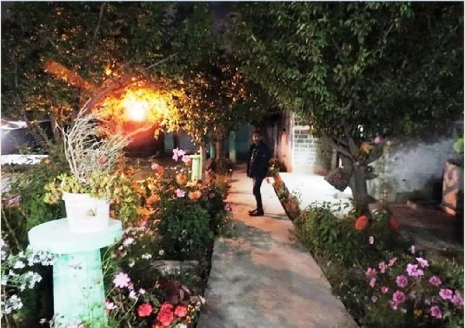 A O Guest House & Home Stay