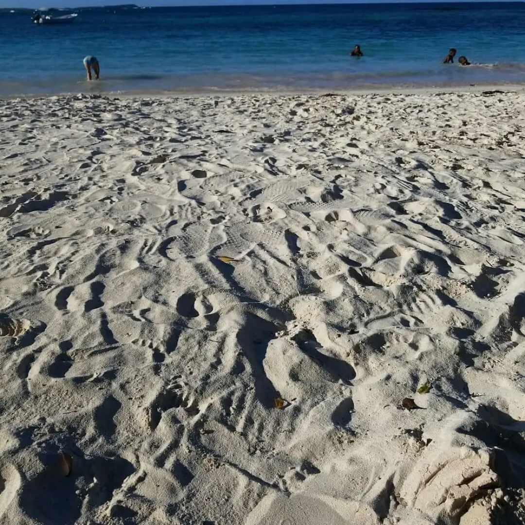 Ellen Bay Inn