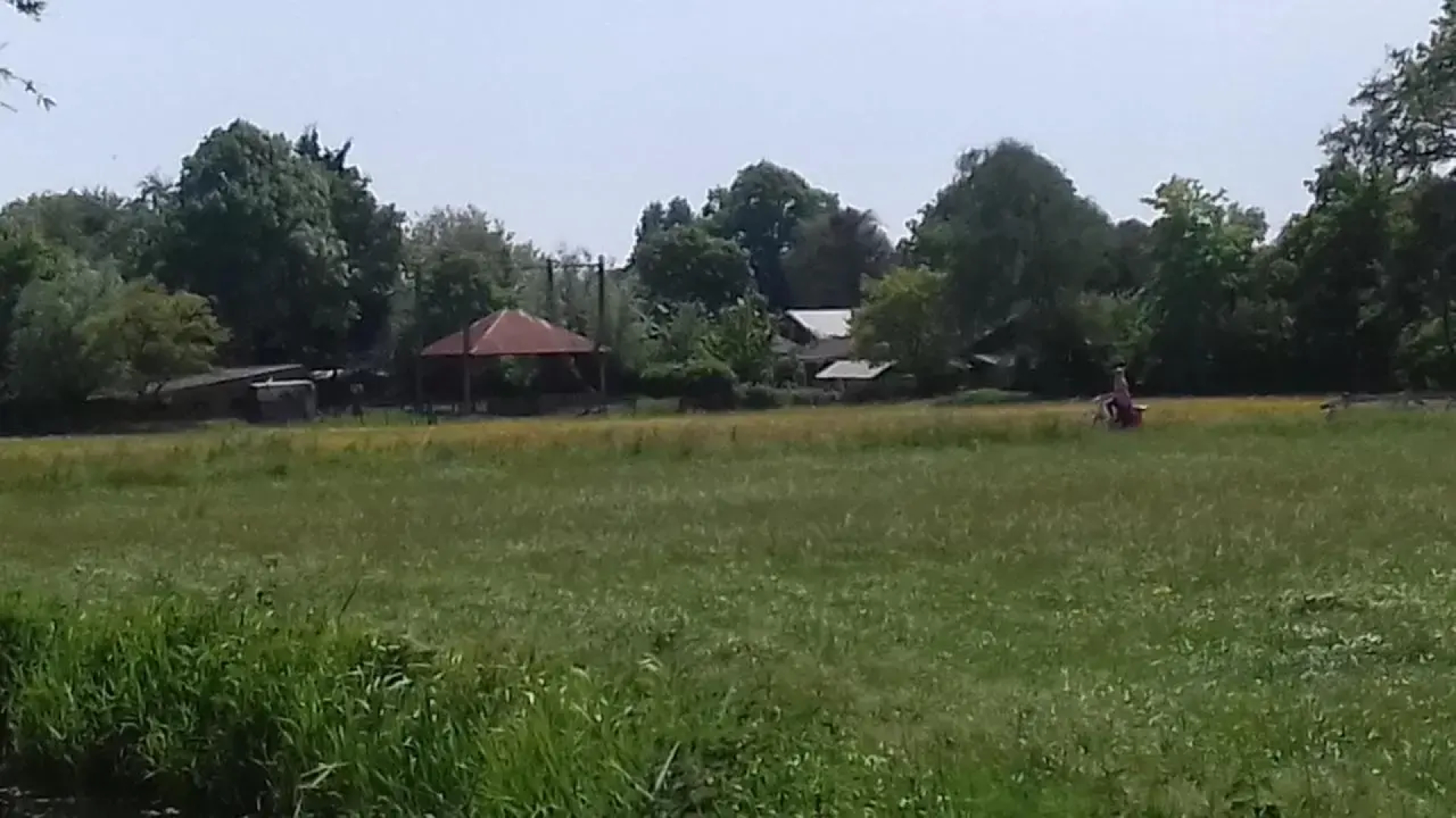 Studio Zonnehoek Schoorl