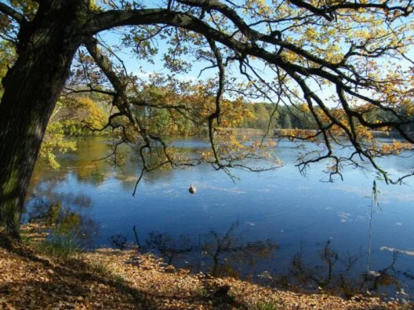Apartmenthotel Garni "Gärtnerhaus Schloss Reinharz"