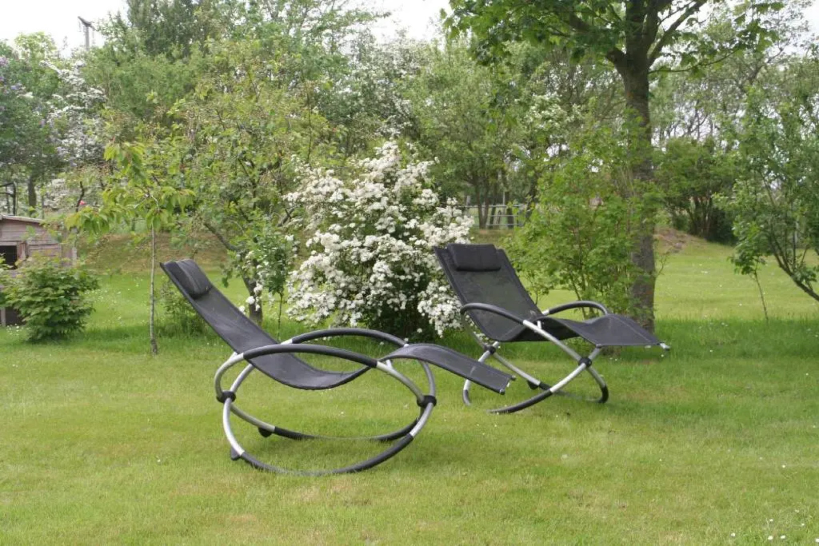 Wohnung-Schwalbennest