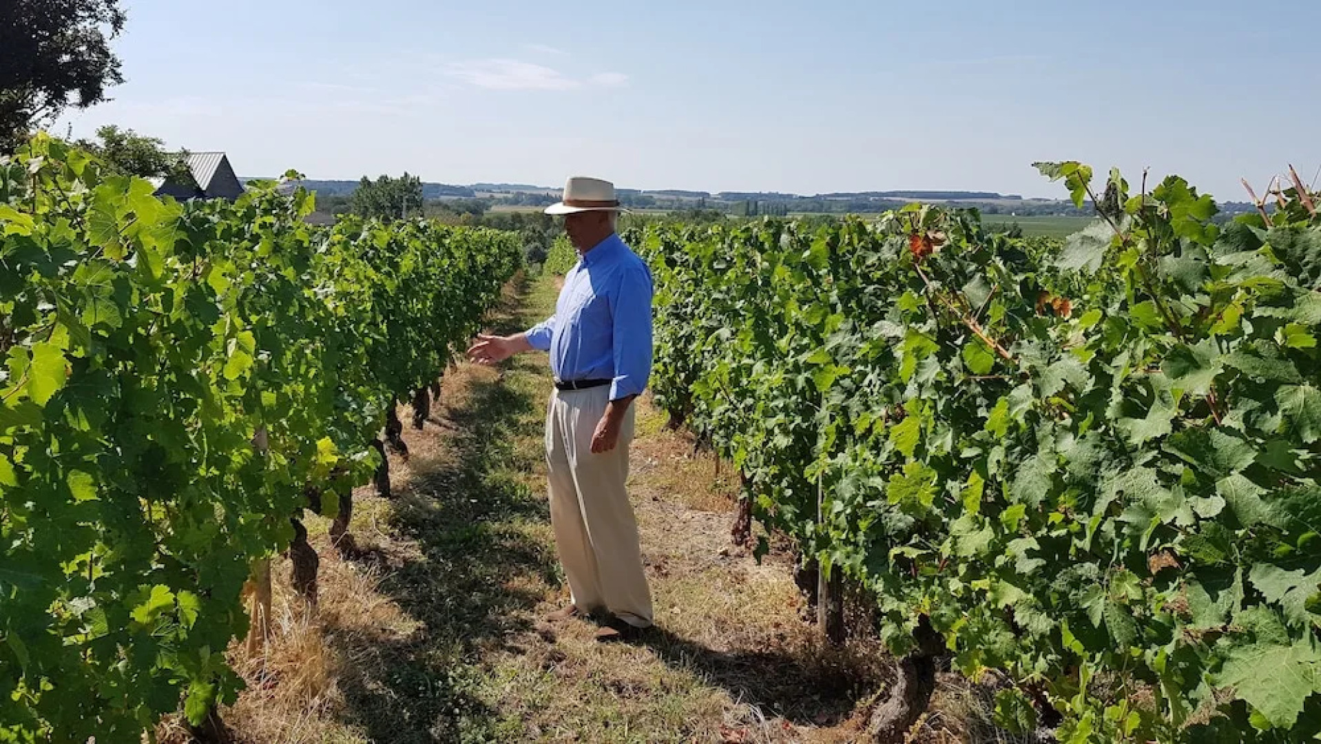 Les Camélias des Demoiselles de Pallus