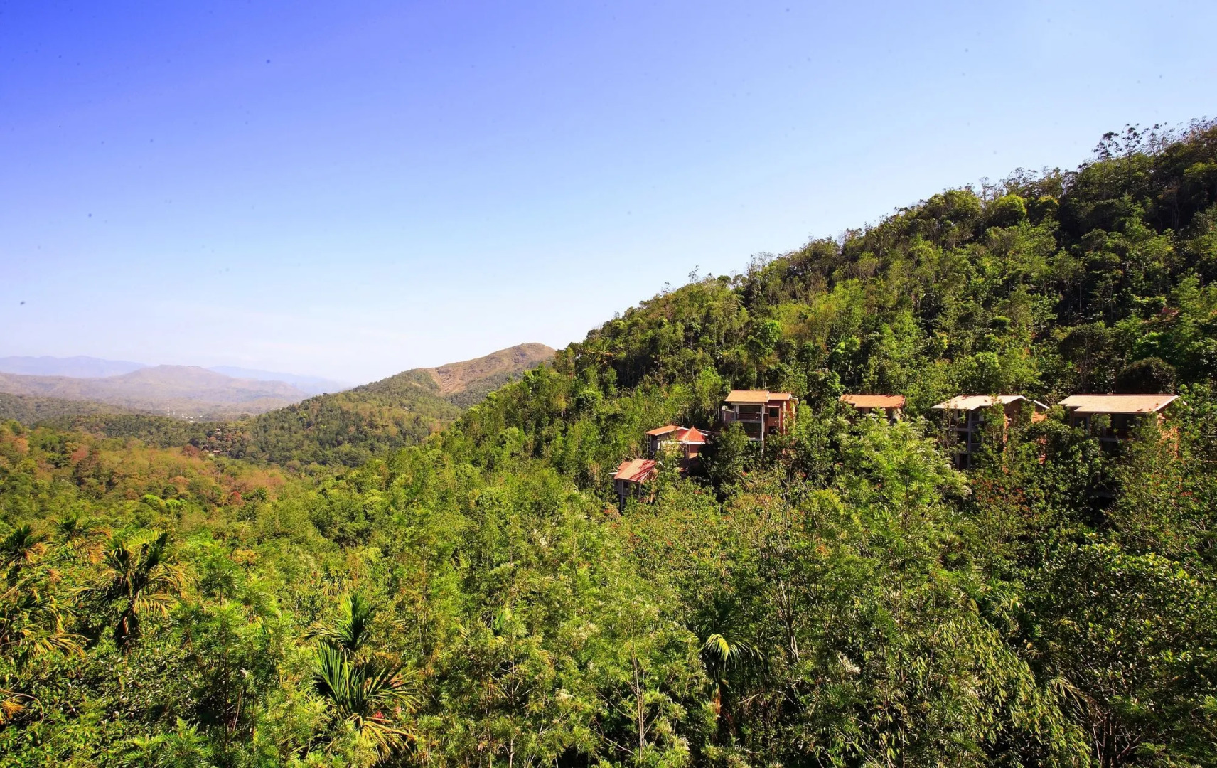 Oxygen Resorts Wild Corridor