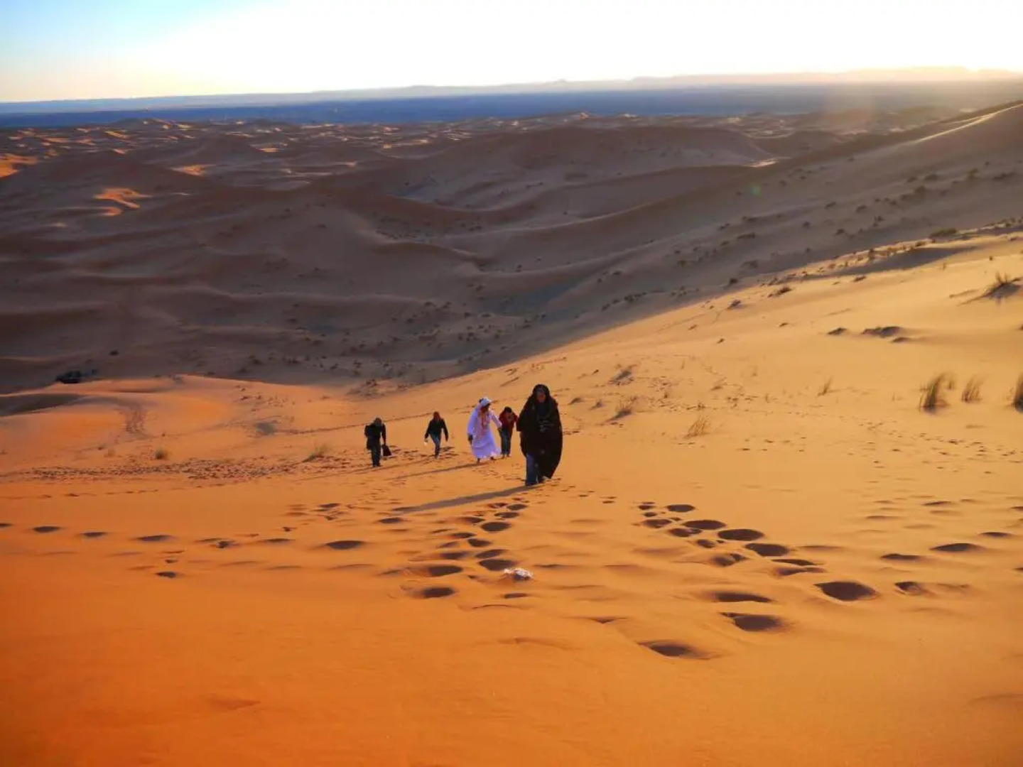 Moda Camp Merzouga - Camel Quad Sunboarding ATV