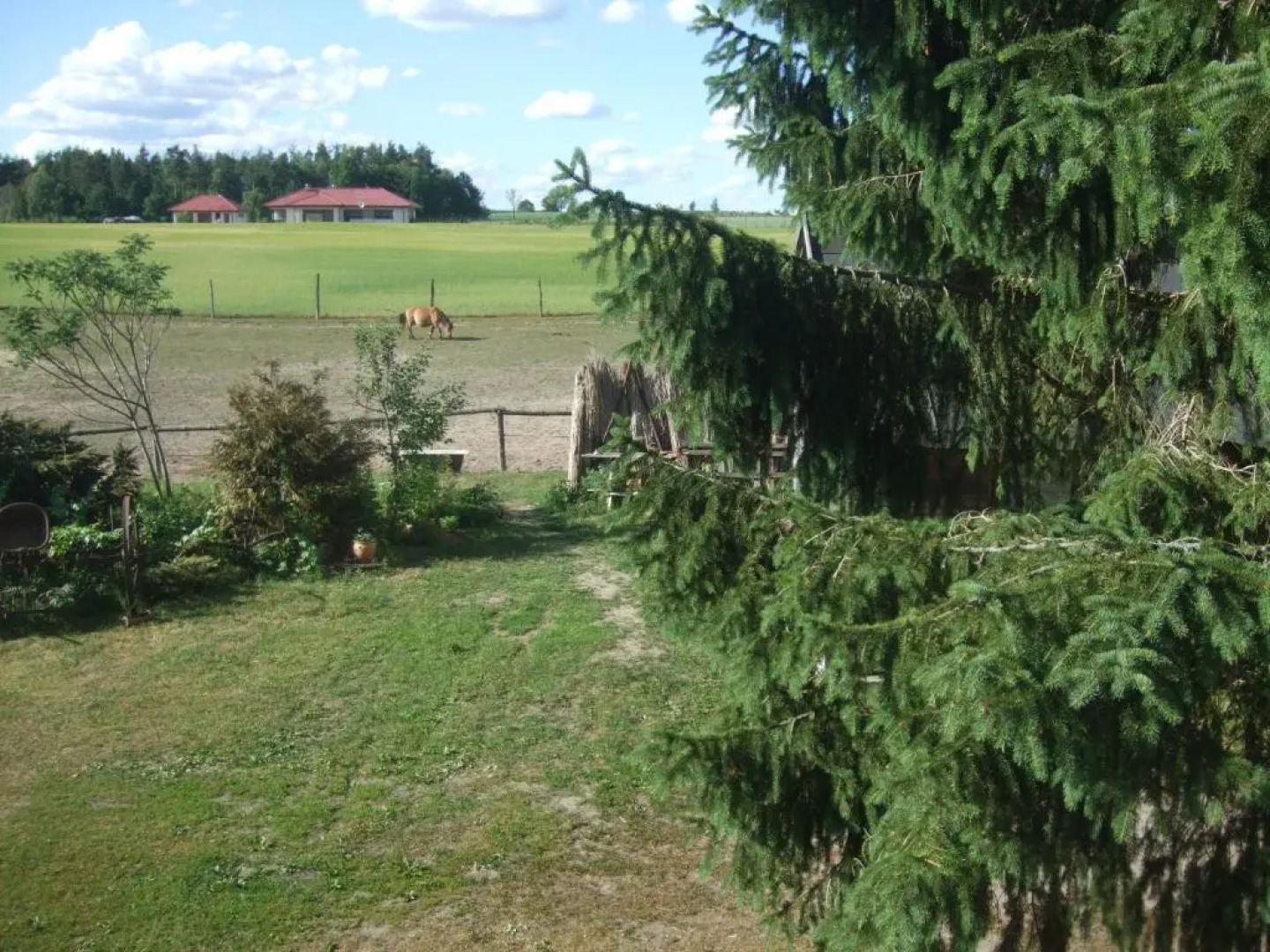 Agroturystyka SZYSZKA