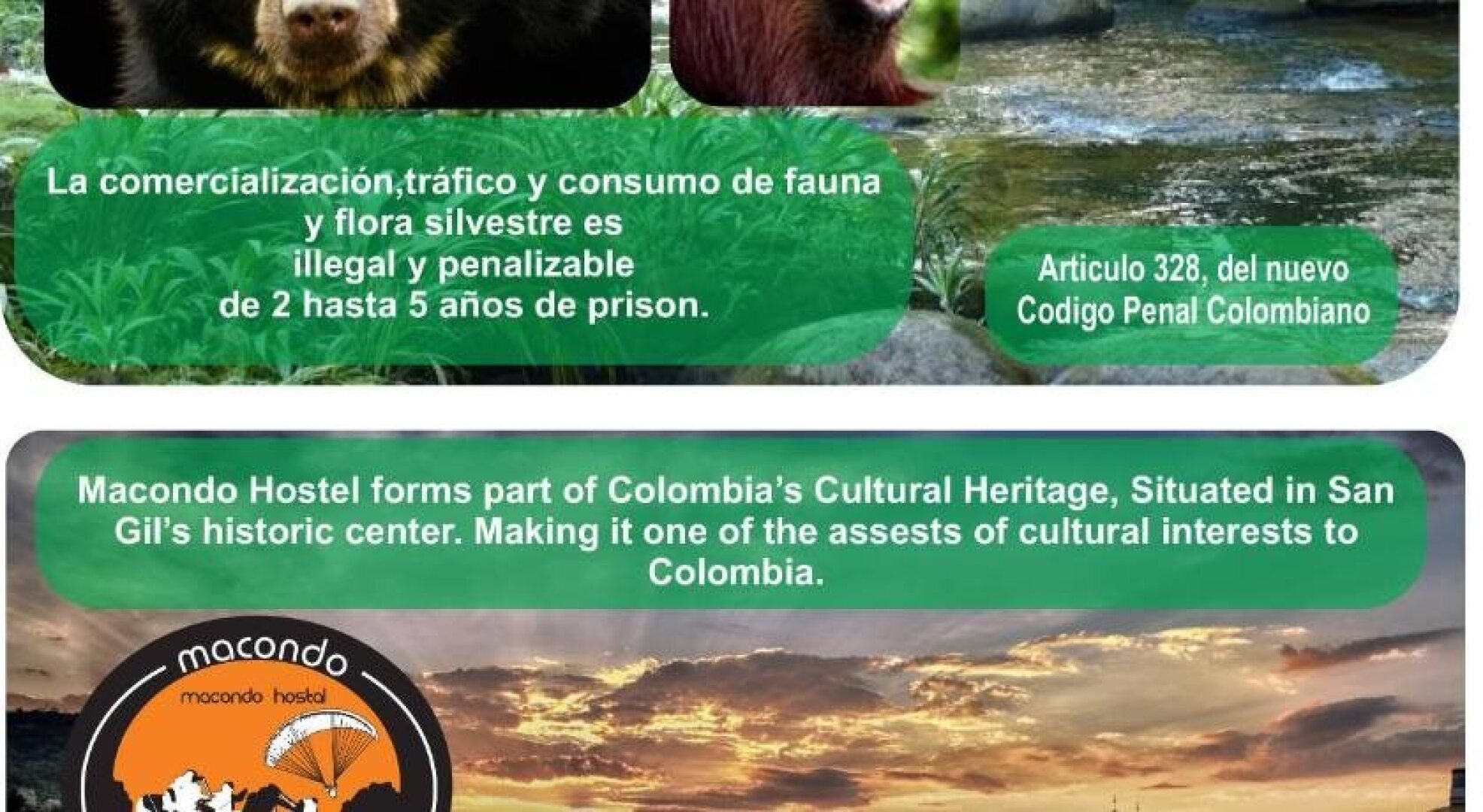 Macondo Hostel