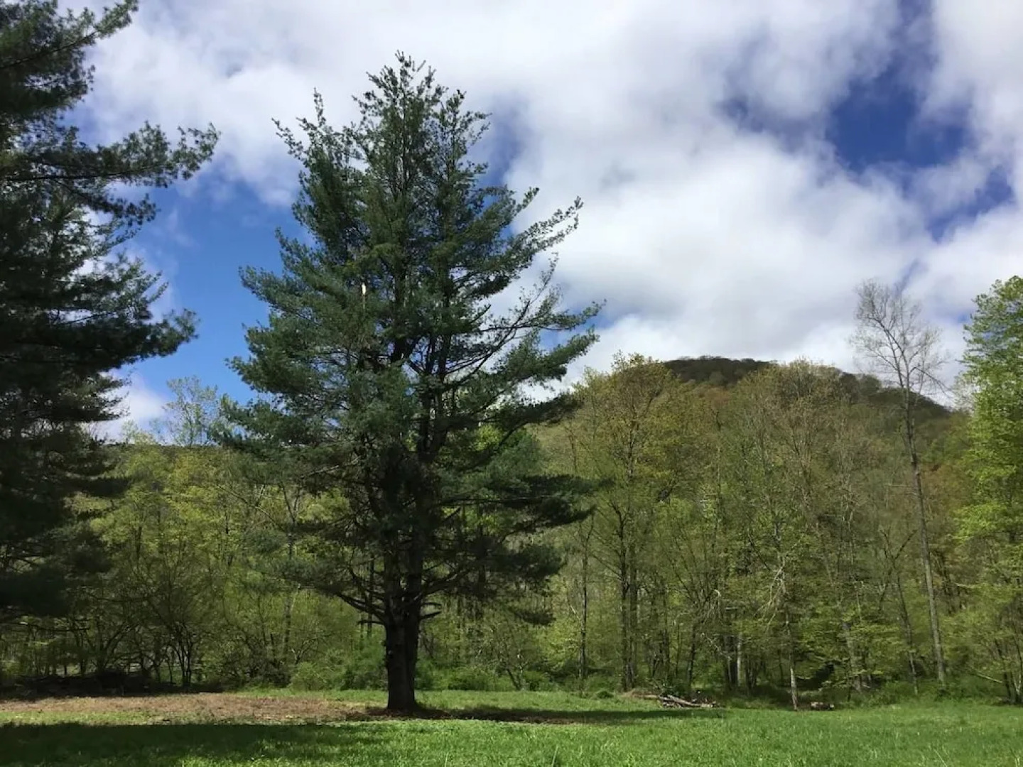 Tentrr - Big Indian Wilderness Paradise