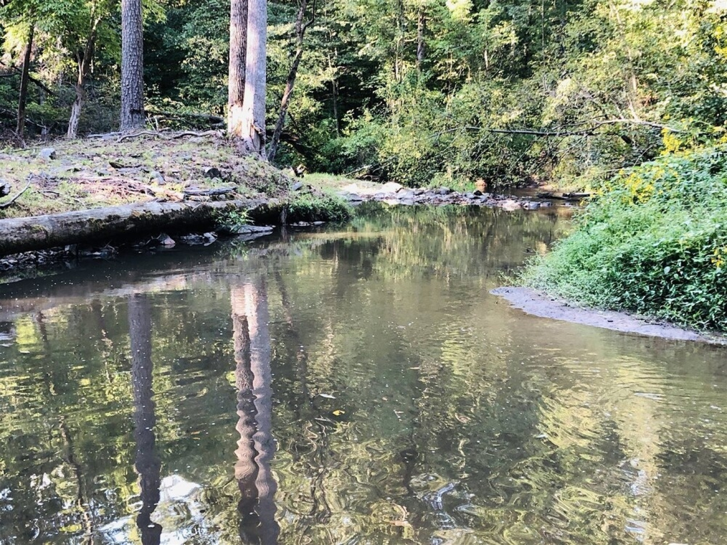 Winedown At The Creek