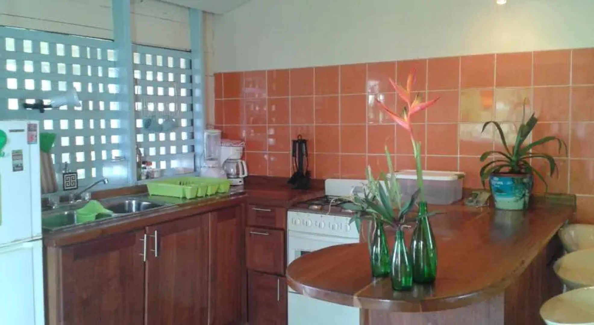 Panama's Paradise Saigoncito