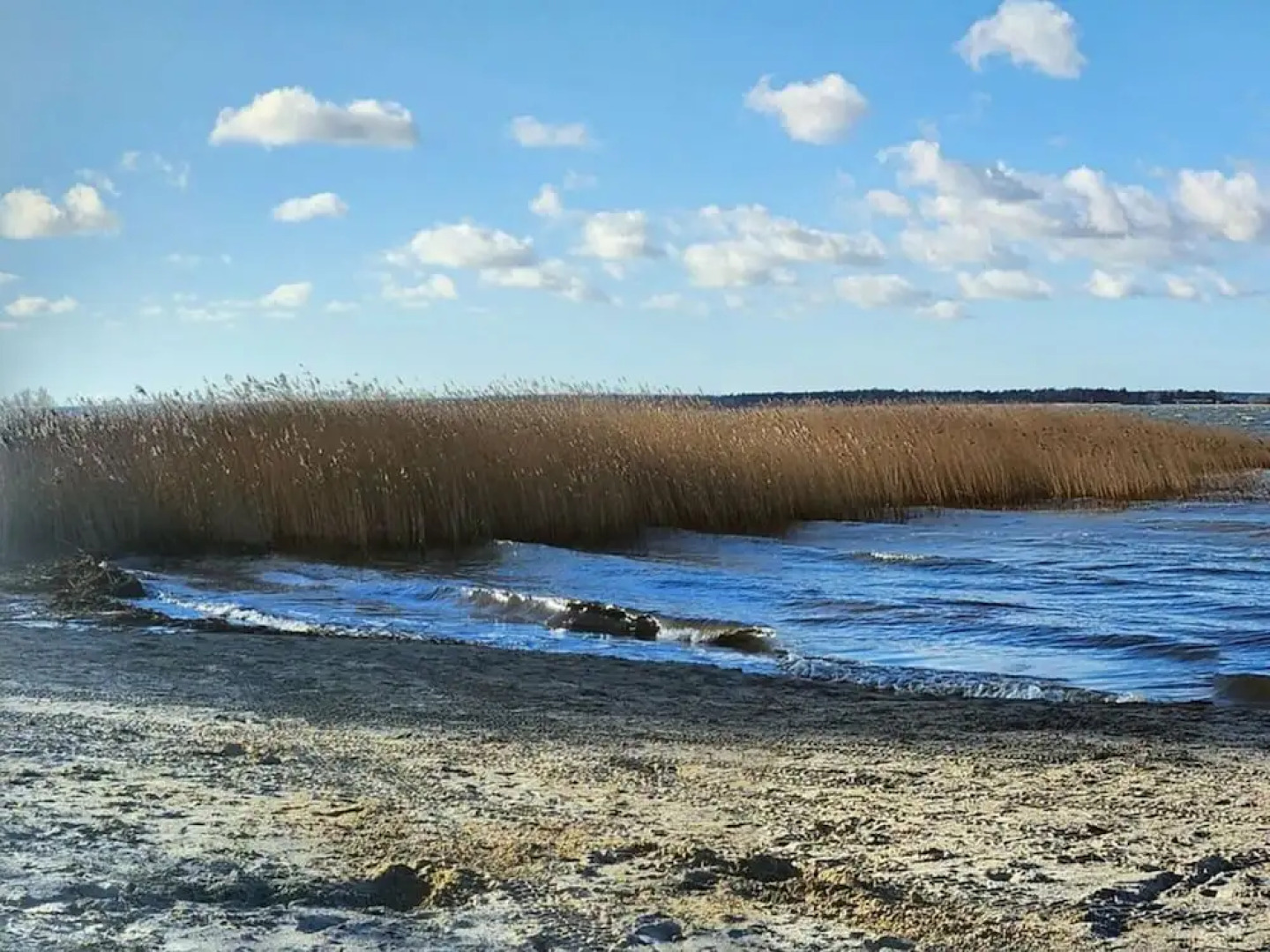 Seeschwalbe Modern Retreat