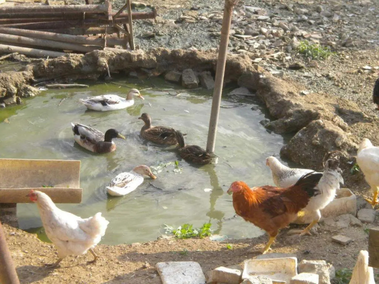 Agriturismo Le Vergare