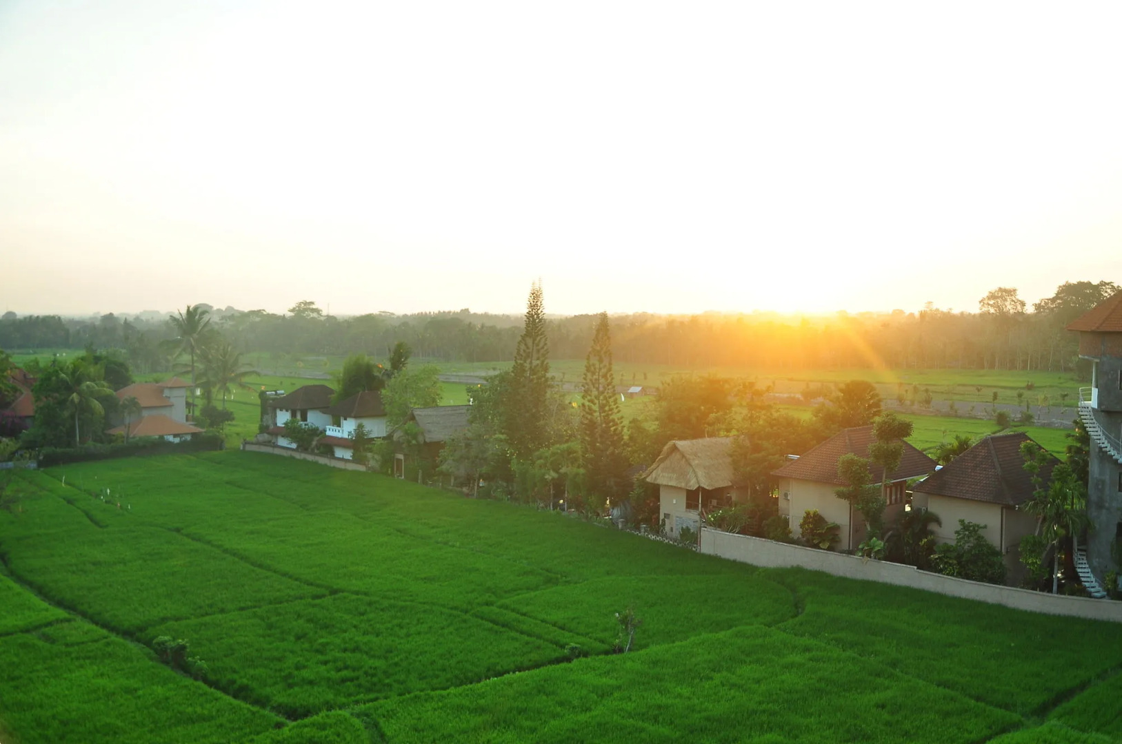 The Evitel Resort Ubud