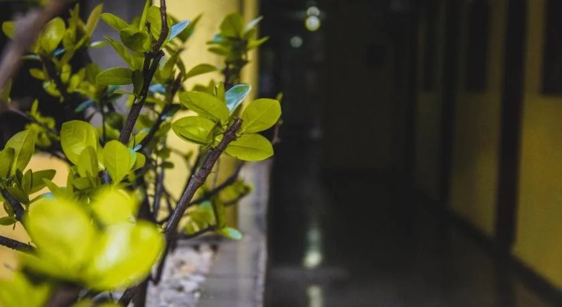 Hotel Santo Antoninho