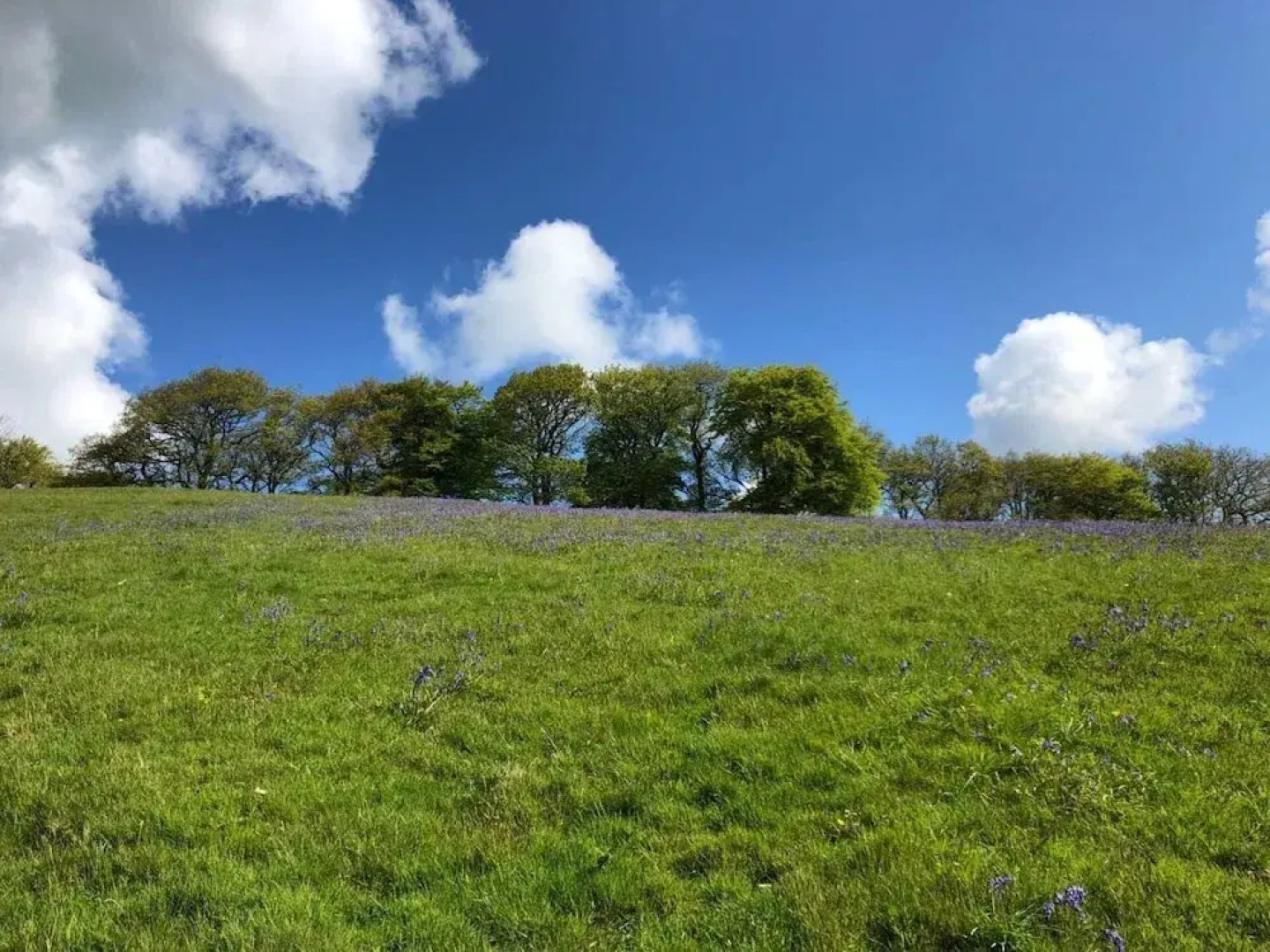 Bramleys Luxury Cabin