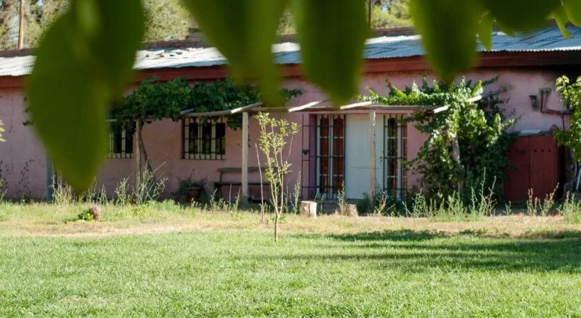 Hosteria Rural Viejo Roble