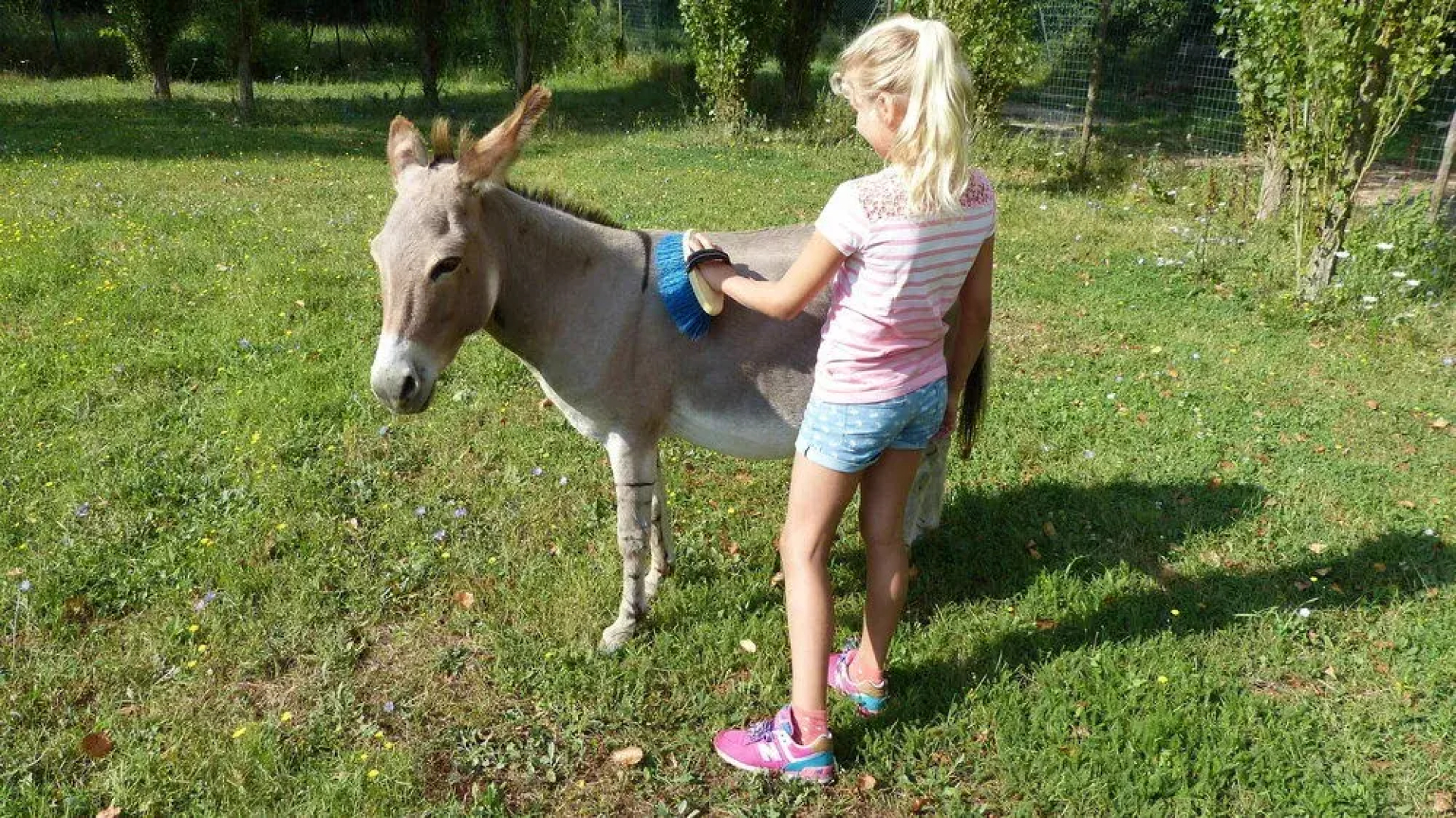 Cerqua Rosara Residence