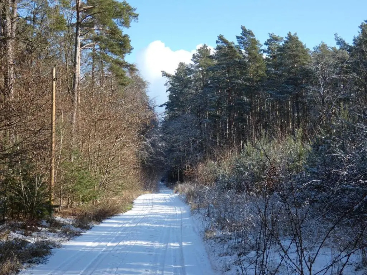Ferienhaus mit 2 FeWo in Mecklenburg