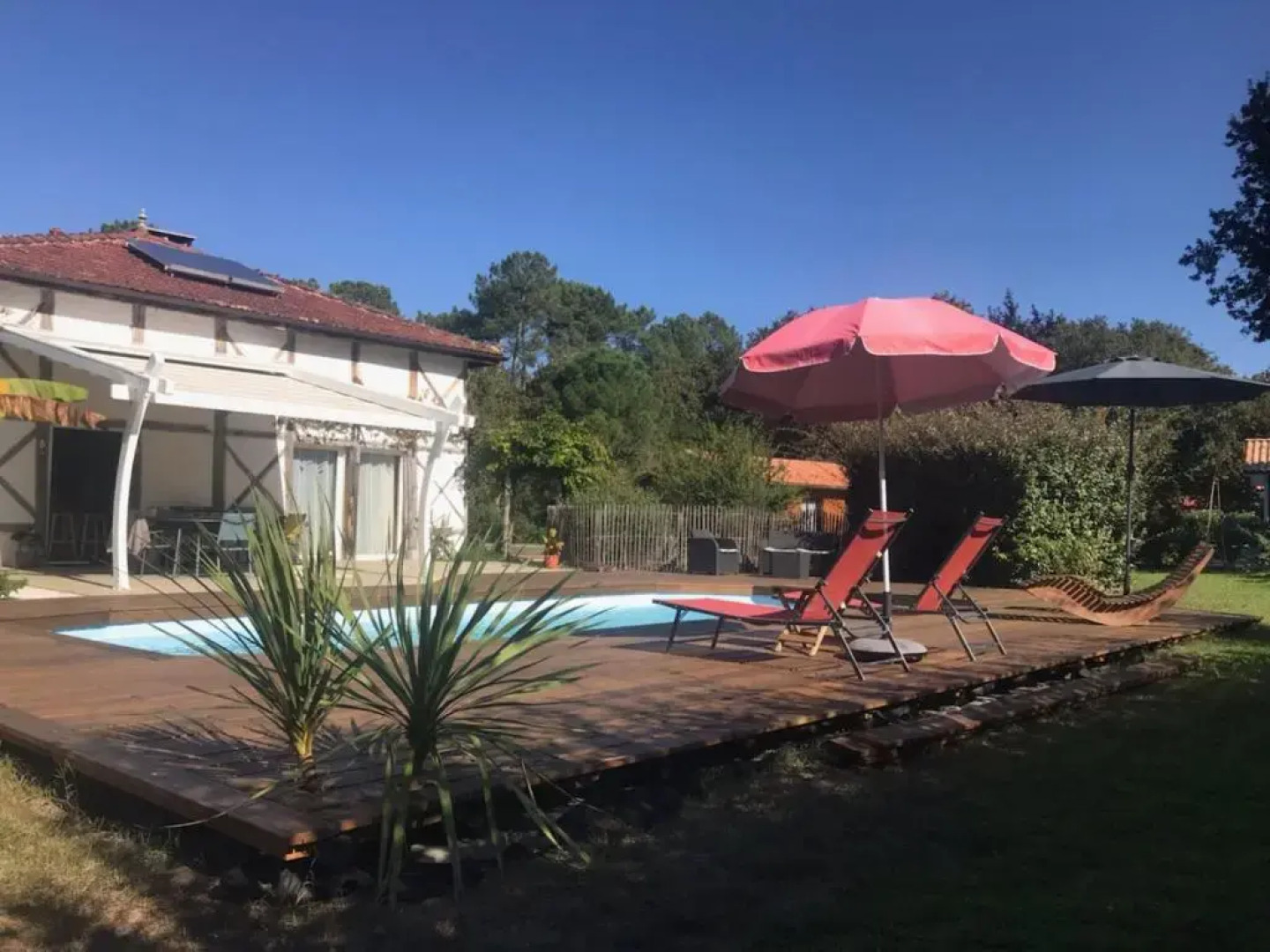 La résinière de pirique