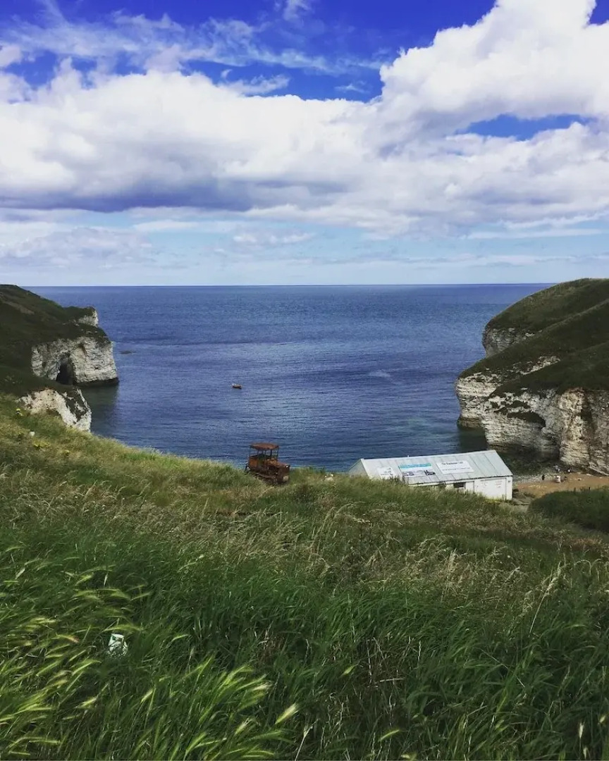 Yellow Hammer - Free Wifi