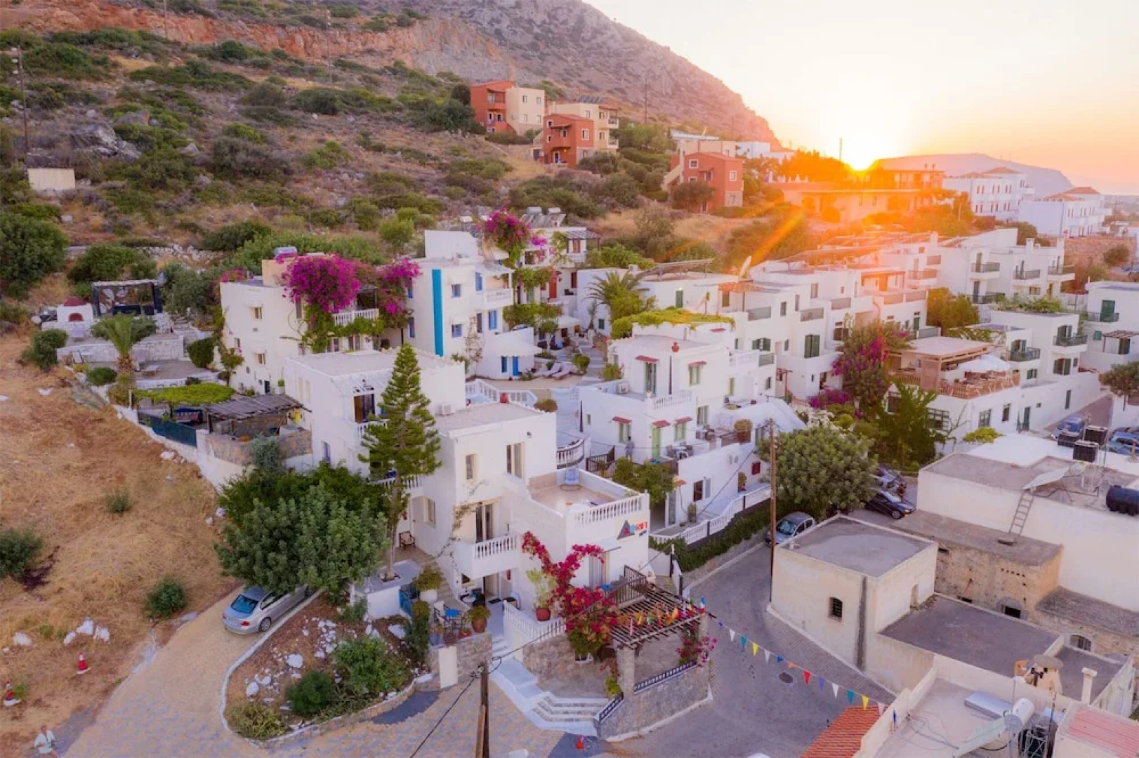 Step Into a World of Nature One Room Private Suite Shared Pool