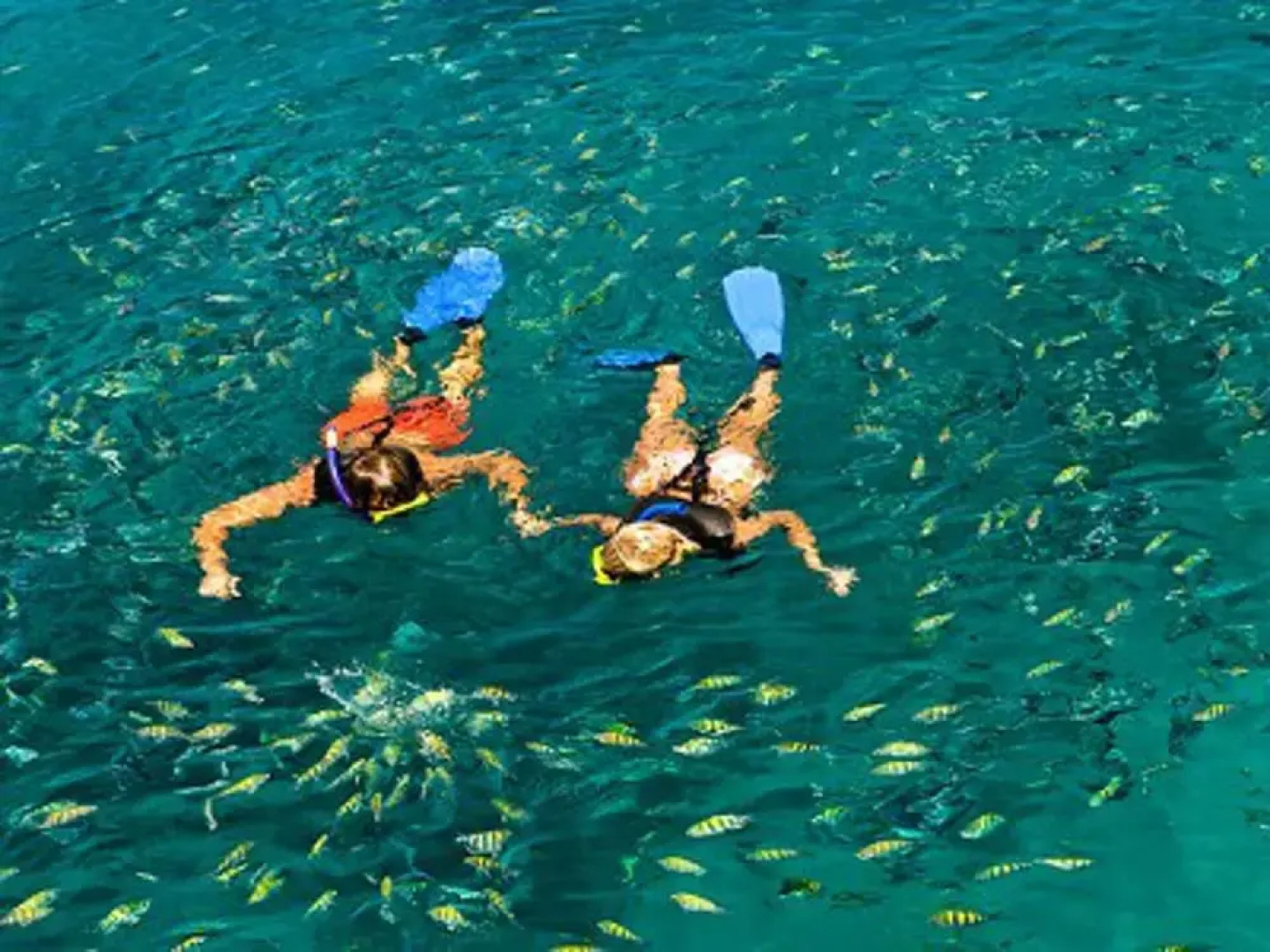 Remarkable 3-bed Villa in Christ Church