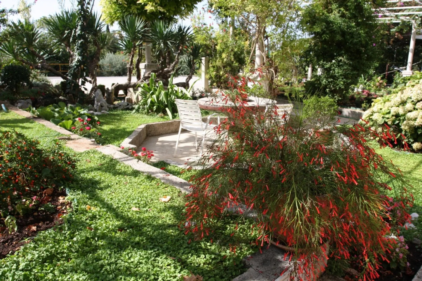 Nikola 1 - Free Parking - SA1