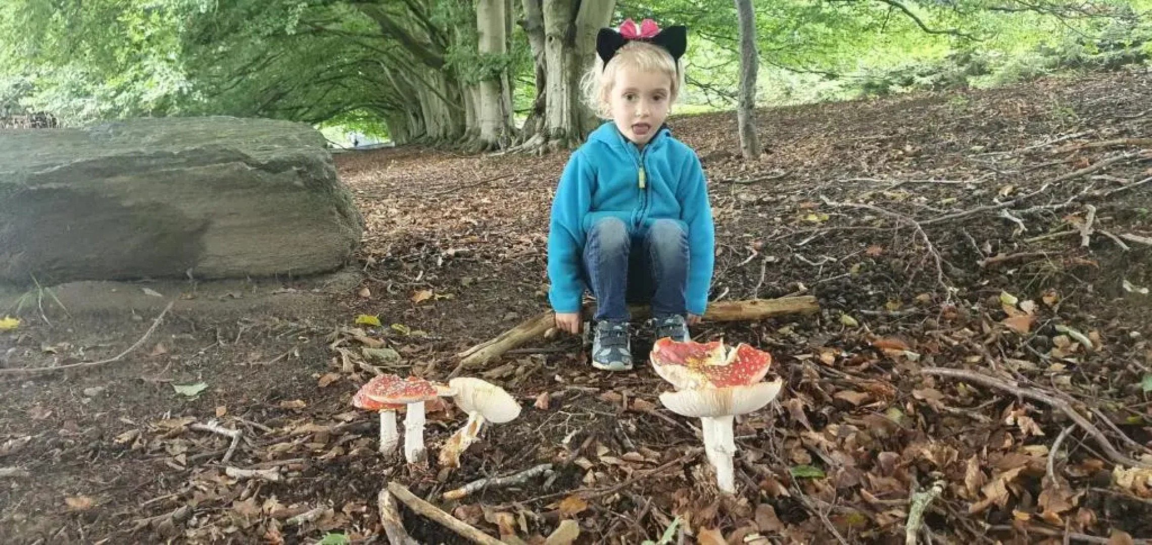 Apartment Freterg Holt, Nähe Binz in traumhafter Alleinlage, Beirau & Beirau GbR