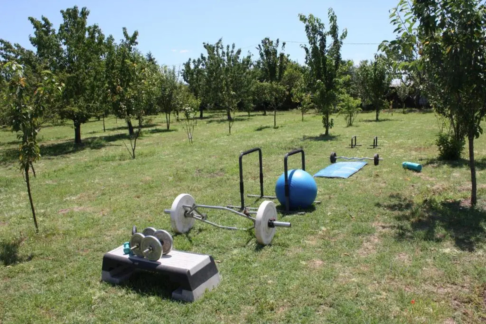 Tuscan Dream Casa Vacanze