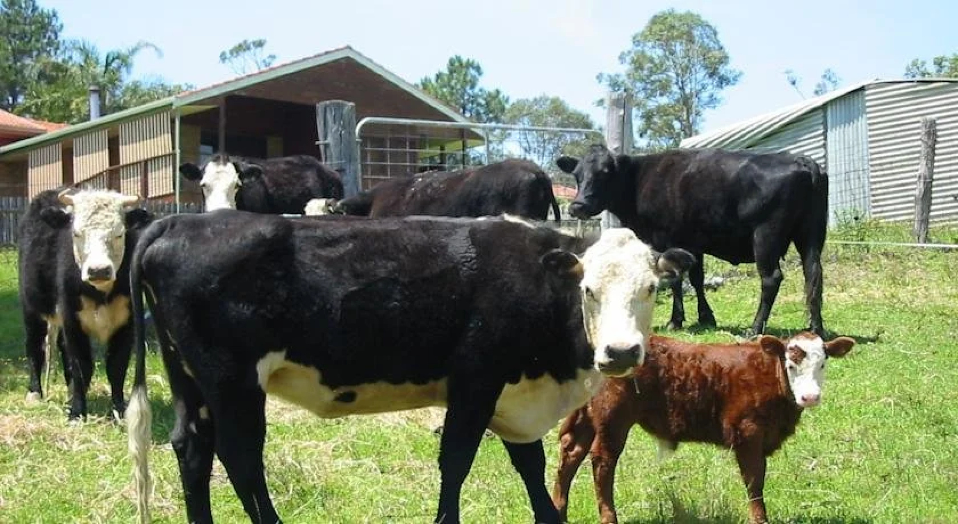 Rural Executive Holiday House @ Lavender Grove Farm