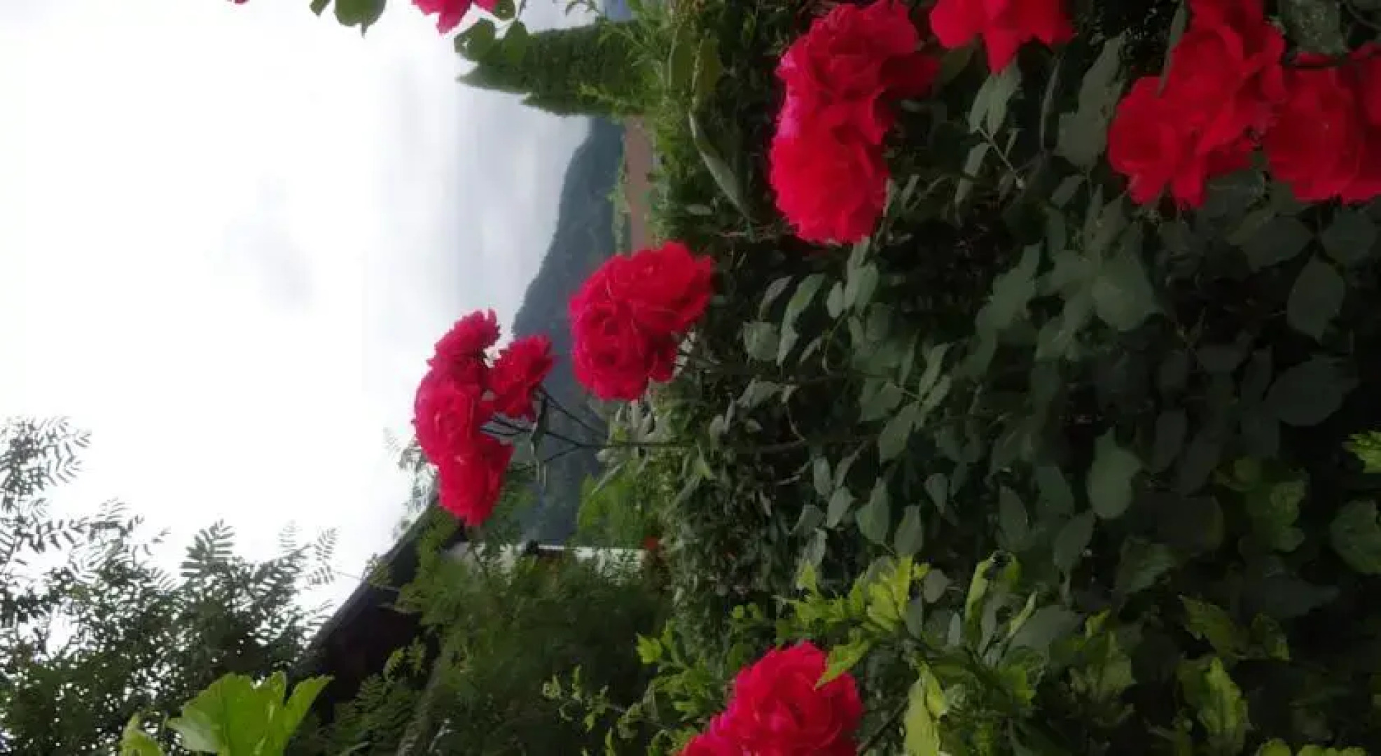 Ferienwohnung Sunshine